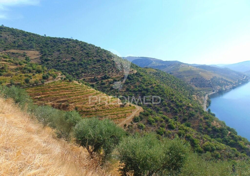 Terreno para Venda em Galafura e Covelinhas Foto 4