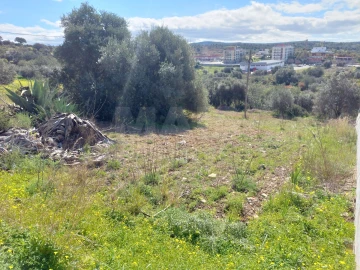 Terreno para Venda em Loule (São Clemente)