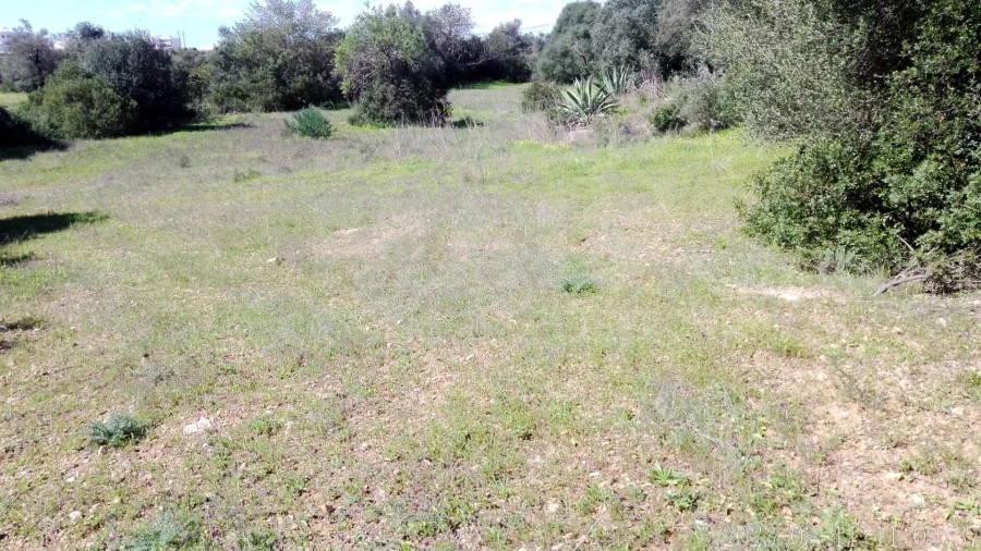 Terreno para Venda em Loule (São Clemente) Foto 5