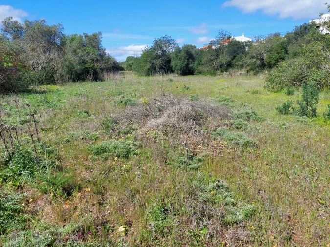Terreno para Venda em Loule (São Clemente) Foto 4