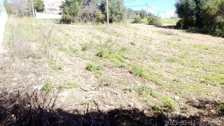 Terreno para Venda em Loule (São Clemente) Foto 7