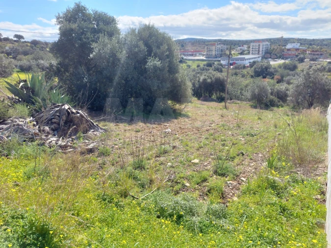 Terreno para Venda em Loule (São Clemente) Foto 8