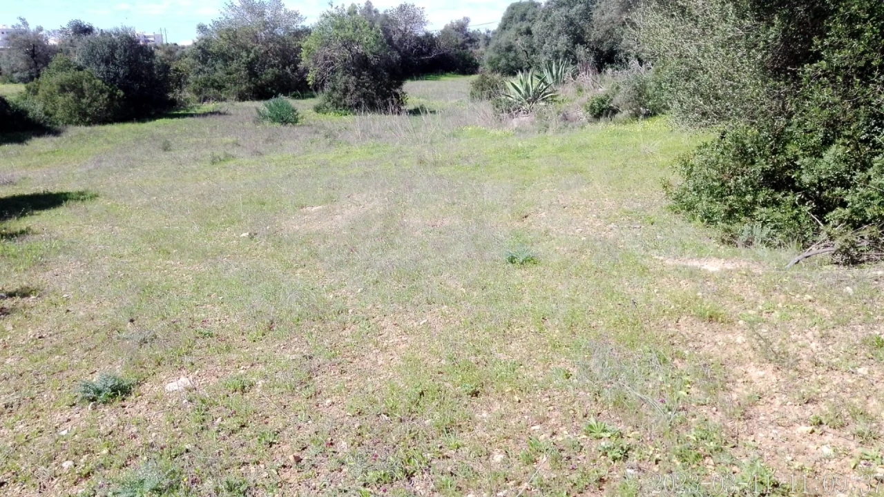 Terreno para Venda em Loule (São Clemente) Foto 5