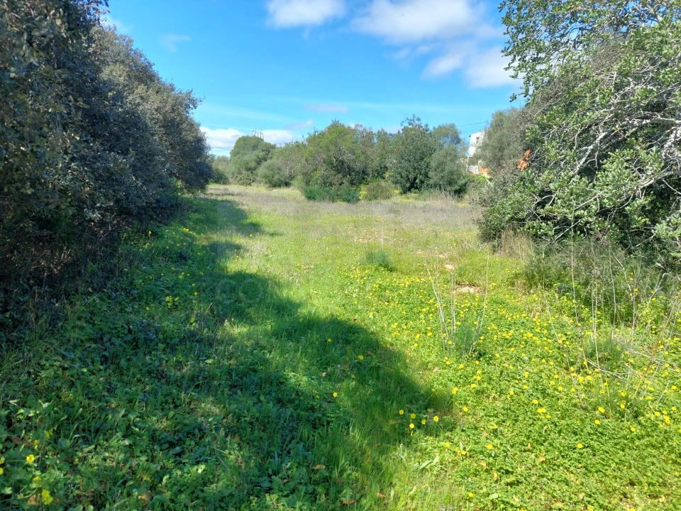 Terreno para Venda em Loule (São Clemente) Foto 10