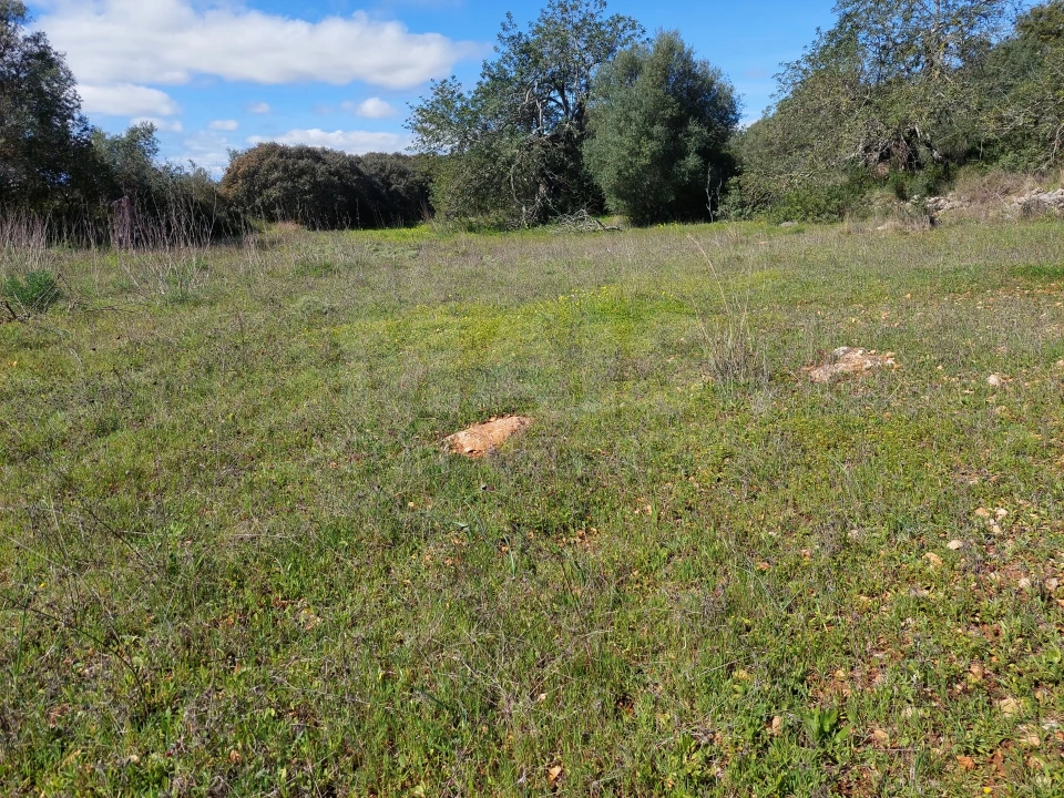 Terreno para Venda em Loule (São Clemente) Foto 6