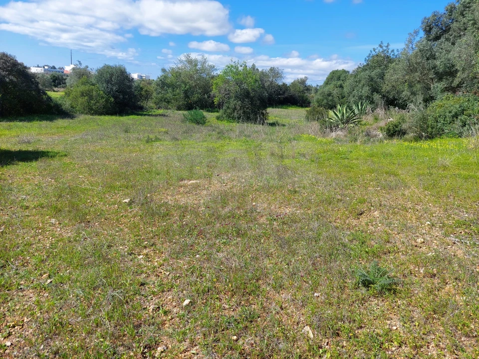 Terreno para Venda em Loule (São Clemente) Foto 1