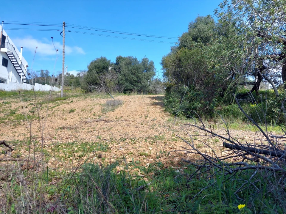 Terreno para Venda em Loule (São Clemente) Foto 3