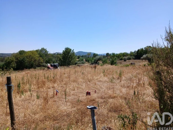 Moradia T6 para Venda em Jarmelo São Pedro Foto 24