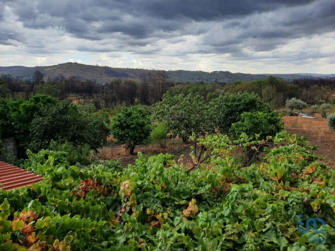 Moradia T6 para Venda em Jarmelo São Pedro Foto 11