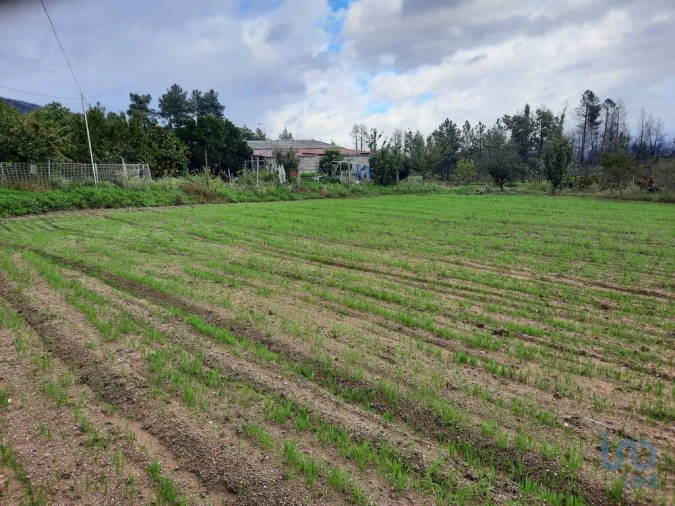 Moradia T6 para Venda em Jarmelo São Pedro Foto 12