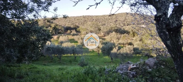Terreno para Venda em São Brás de Alportel