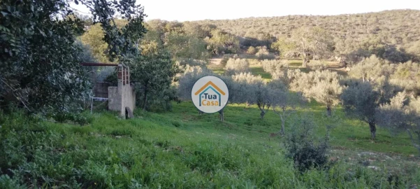 Terreno para Venda em São Brás de Alportel