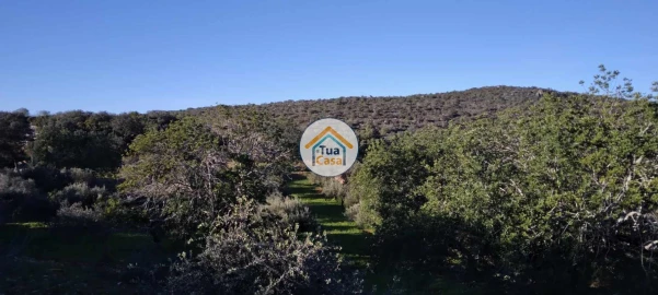 Terreno para Venda em São Brás de Alportel
