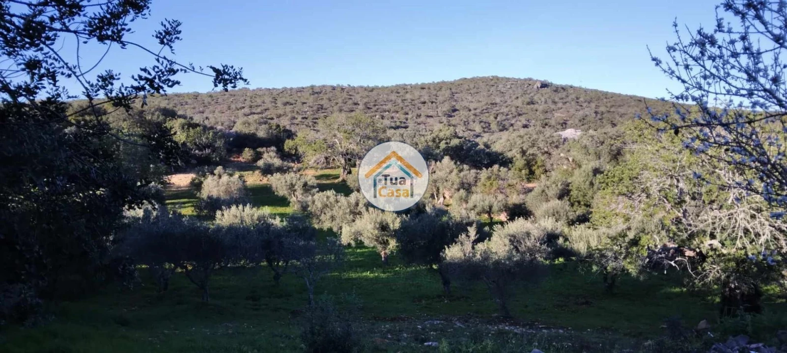 Terreno para Venda em São Brás de Alportel Foto 6