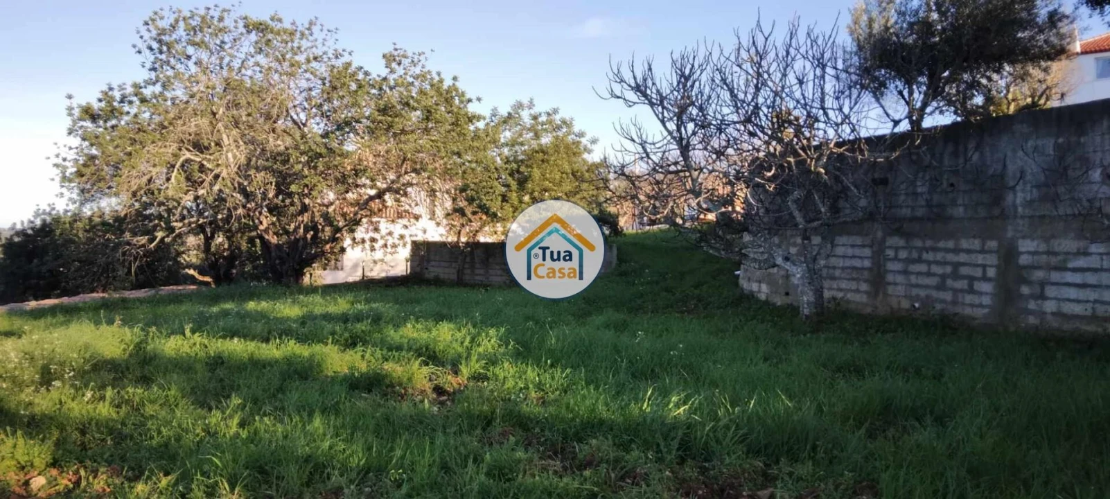 Terreno para Venda em São Brás de Alportel Foto 4
