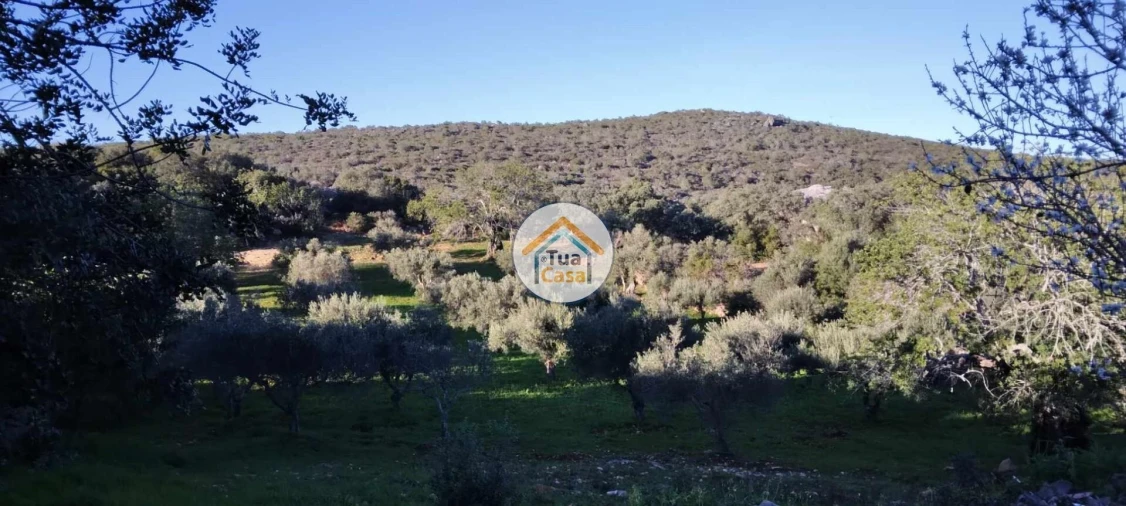 Terreno para Venda em São Brás de Alportel Foto 6
