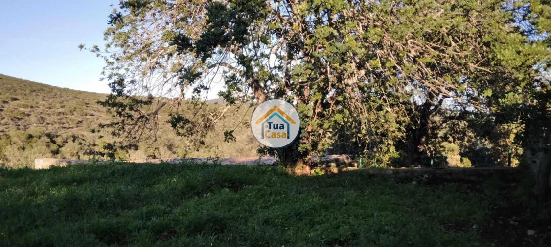 Terreno para Venda em São Brás de Alportel Foto 9