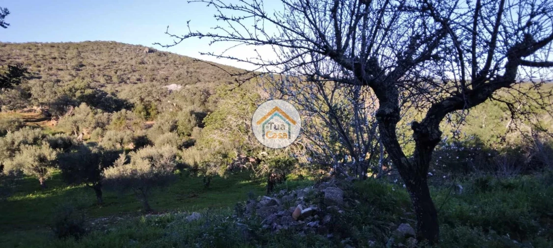 Terreno para Venda em São Brás de Alportel Foto 12