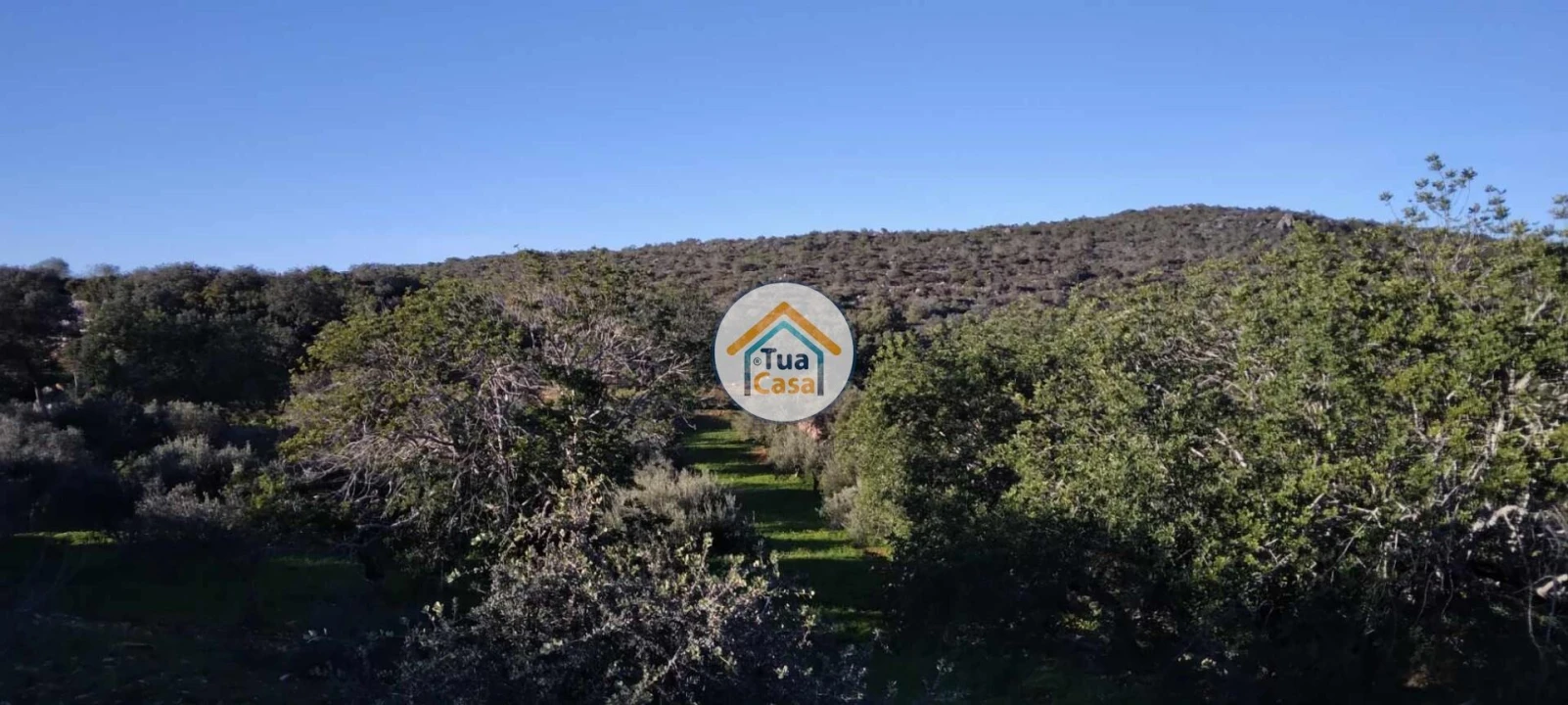 Terreno para Venda em São Brás de Alportel Foto 5
