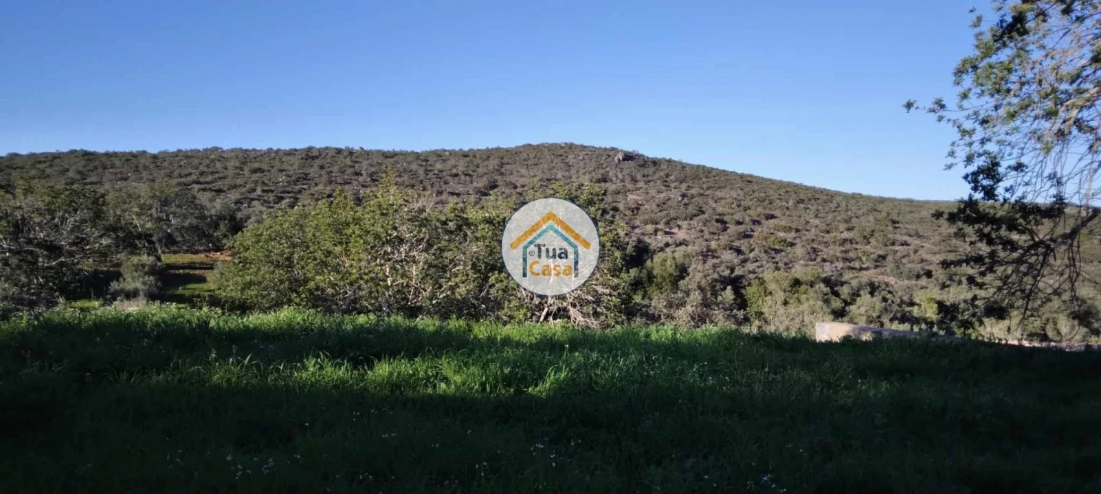 Terreno para Venda em São Brás de Alportel Foto 2