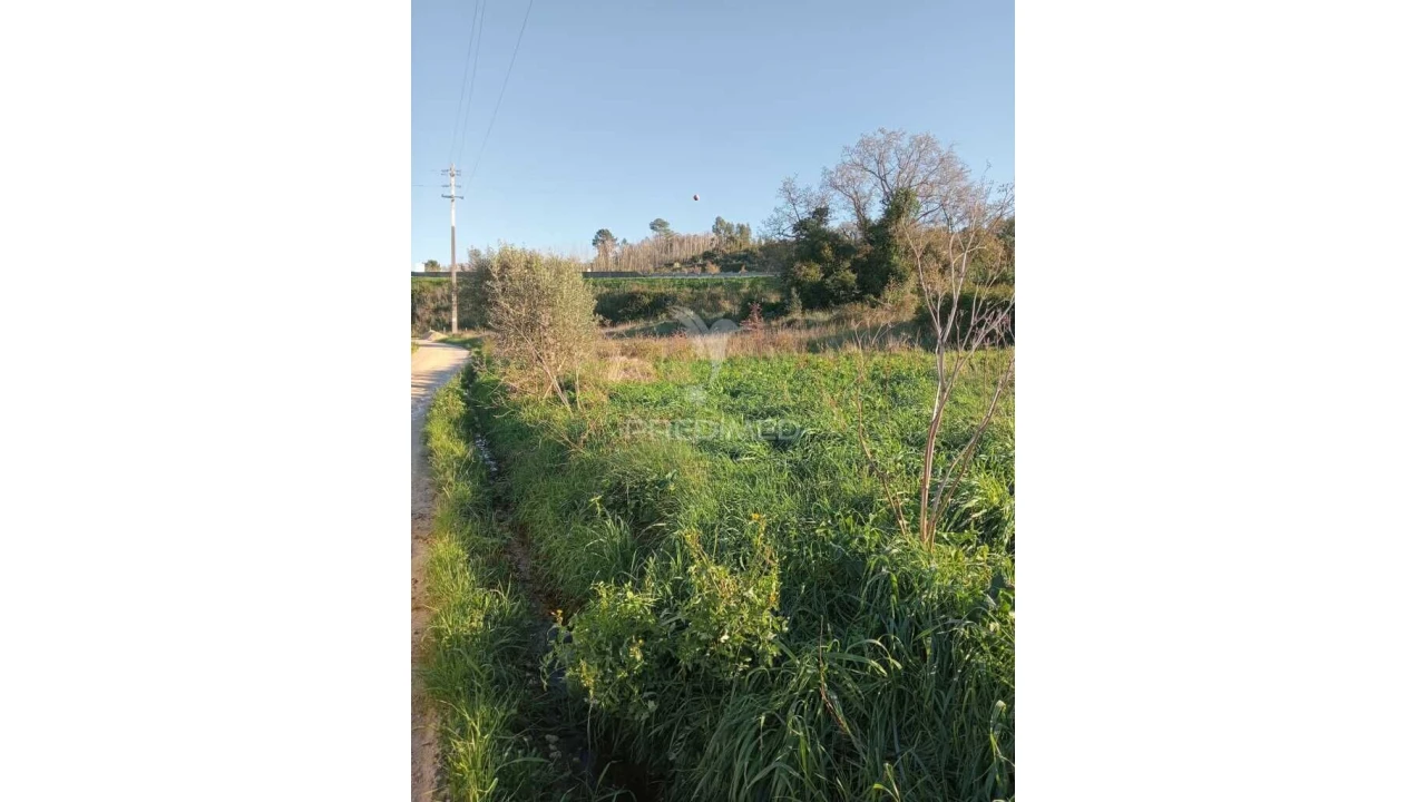 Terreno para Venda em Arrimal e Mendiga Foto 3