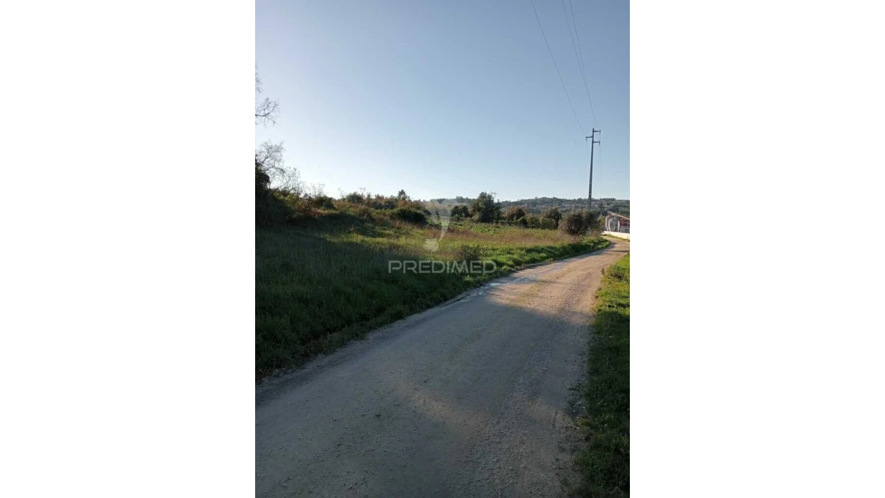 Terreno para Venda em Arrimal e Mendiga Foto 2
