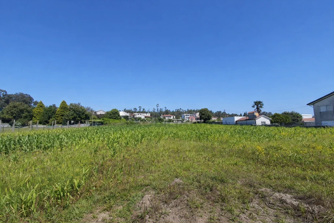 Terreno para Venda em Carvalhosa Foto 1