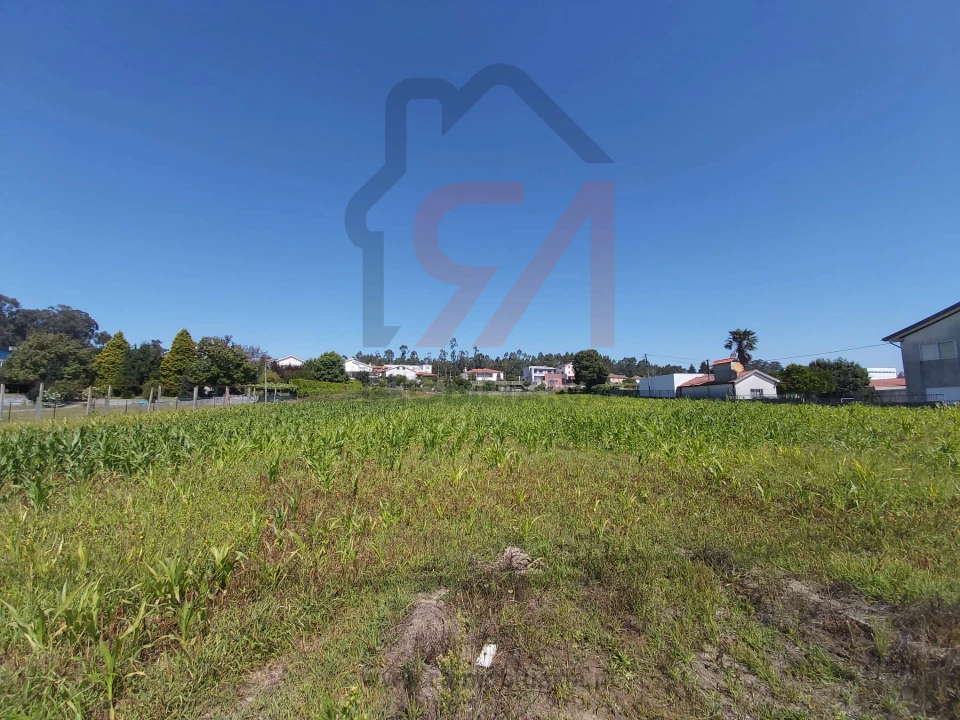 Terreno para Venda em Carvalhosa Foto 3