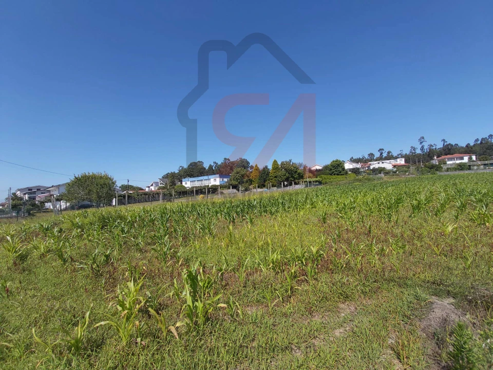 Terreno para Venda em Carvalhosa Foto 7