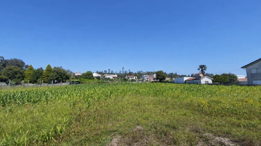 Terreno para Venda em Carvalhosa
