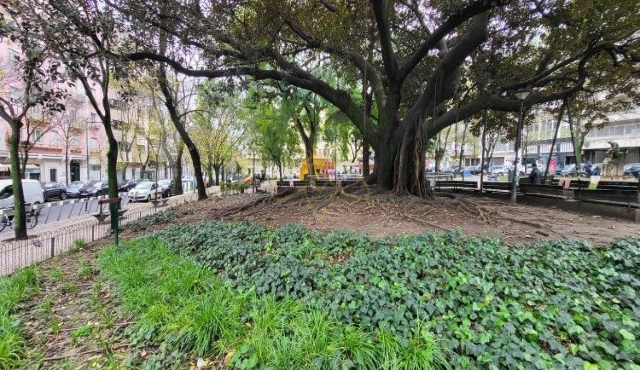 Apartamento T1 para Venda em Arroios Foto 7