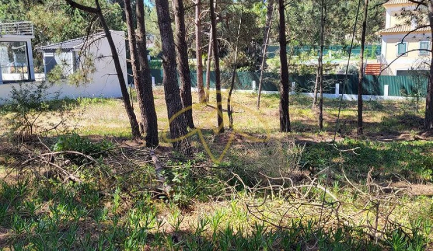 Terreno P/ Prédio para Venda em Sesimbra (Castelo) Foto 2