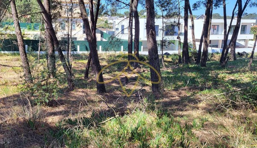 Terreno P/ Prédio para Venda em Sesimbra (Castelo) Foto 4