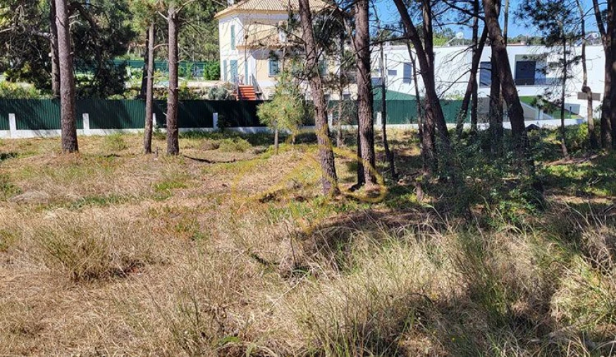 Terreno P/ Prédio para Venda em Sesimbra (Castelo) Foto 5