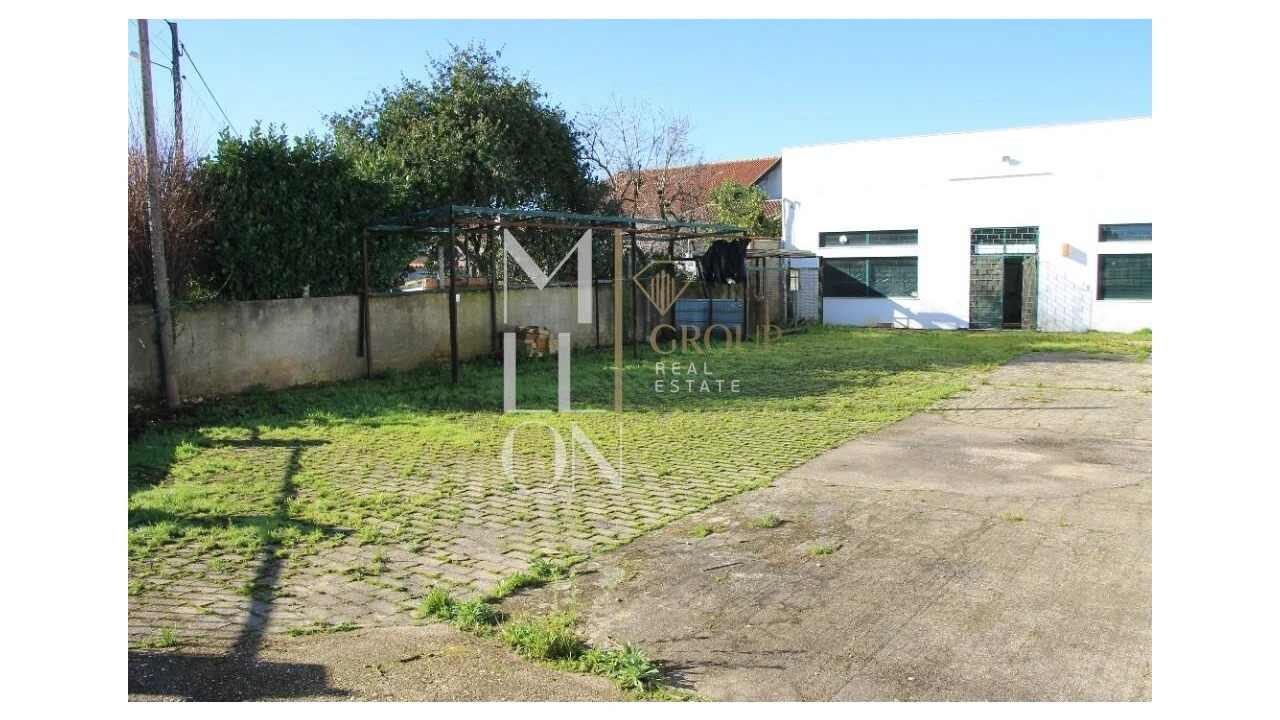 Loja para Venda em Avelãs de Caminho Foto 35