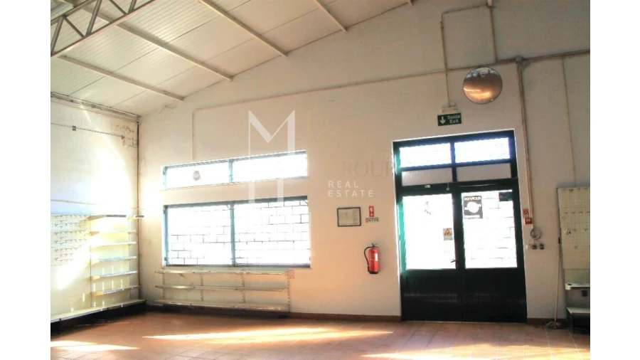 Loja para Venda em Avelãs de Caminho Foto 28