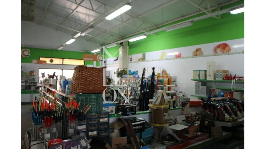 Loja para Venda em Avelãs de Caminho Foto 10