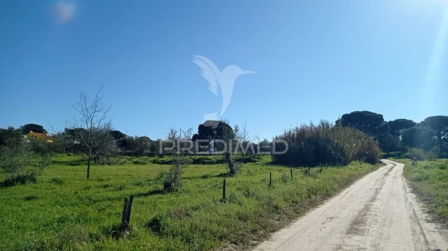 Terreno para Venda em Couço Foto 1
