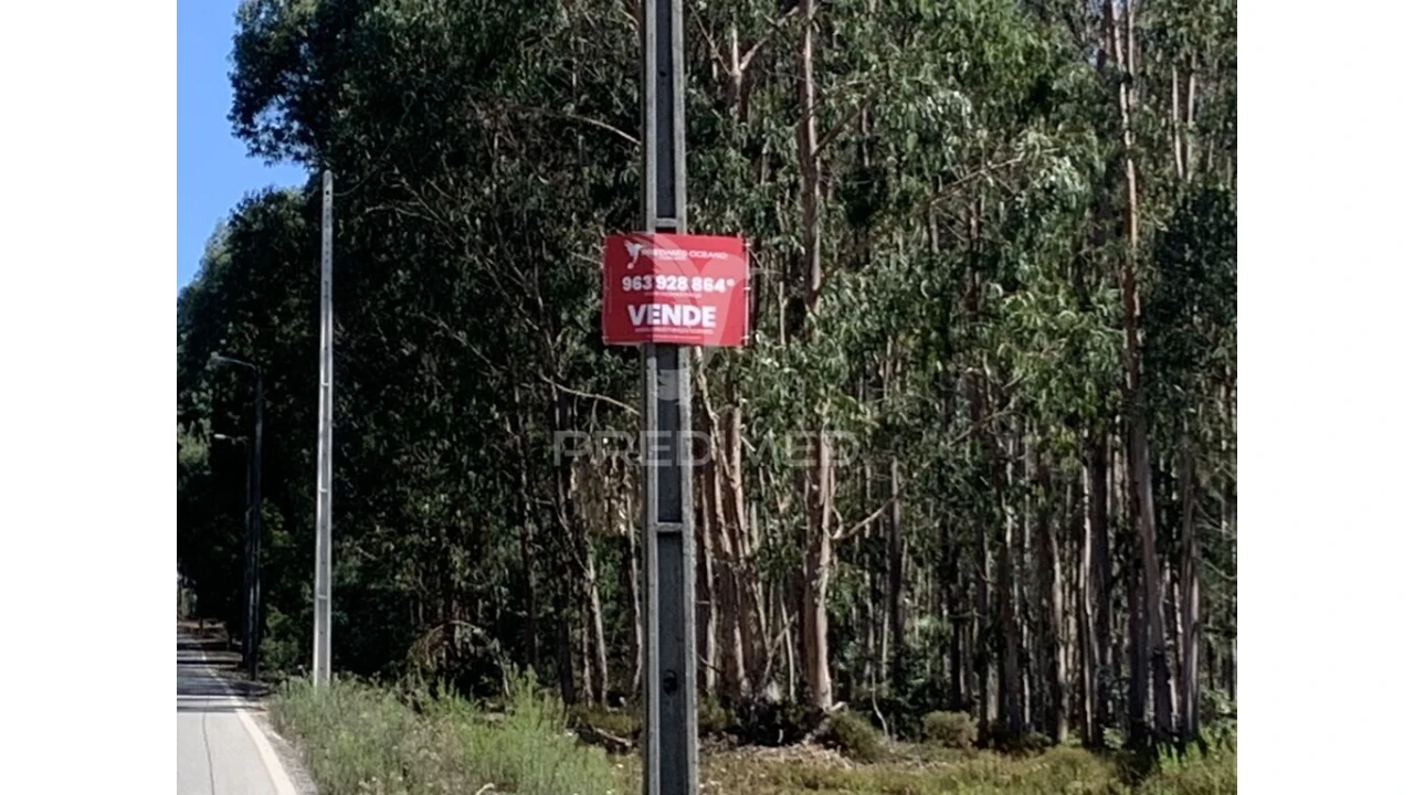 Terreno para Venda em Covelas Foto 3