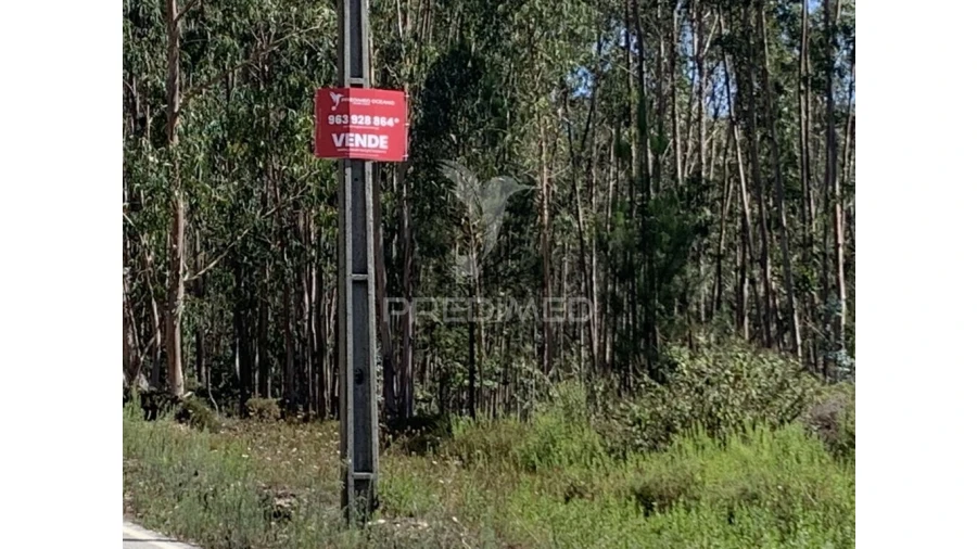 Terreno para Venda em Covelas Foto 7