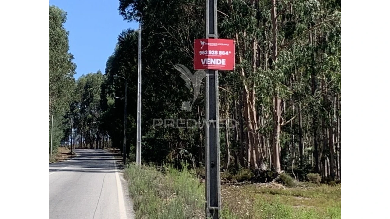 Terreno para Venda em Covelas Foto 6