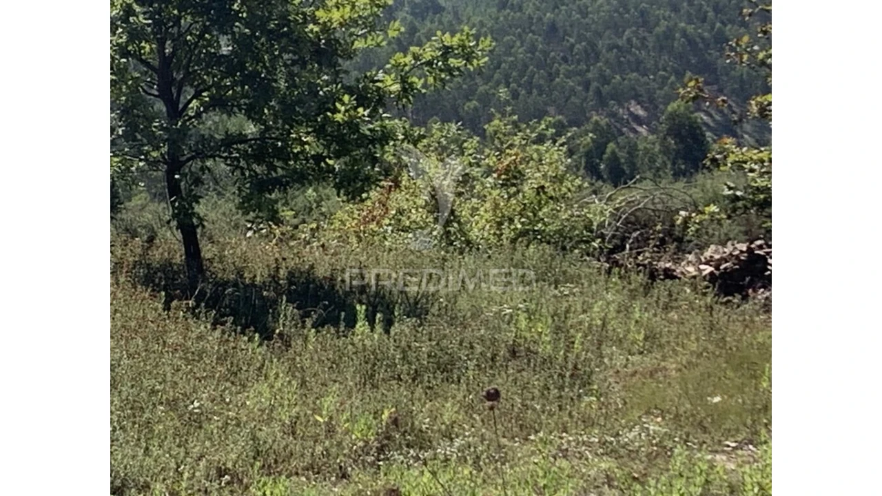 Terreno para Venda em Covelas Foto 4