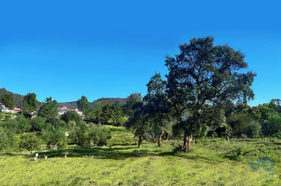 Terreno para Venda em Ferreira do Zezere Foto 6