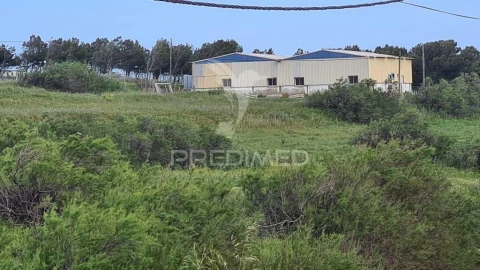 Terreno para Venda em Porto Santo