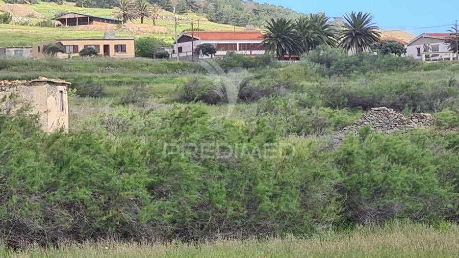 Terreno para Venda em Porto Santo Foto 10