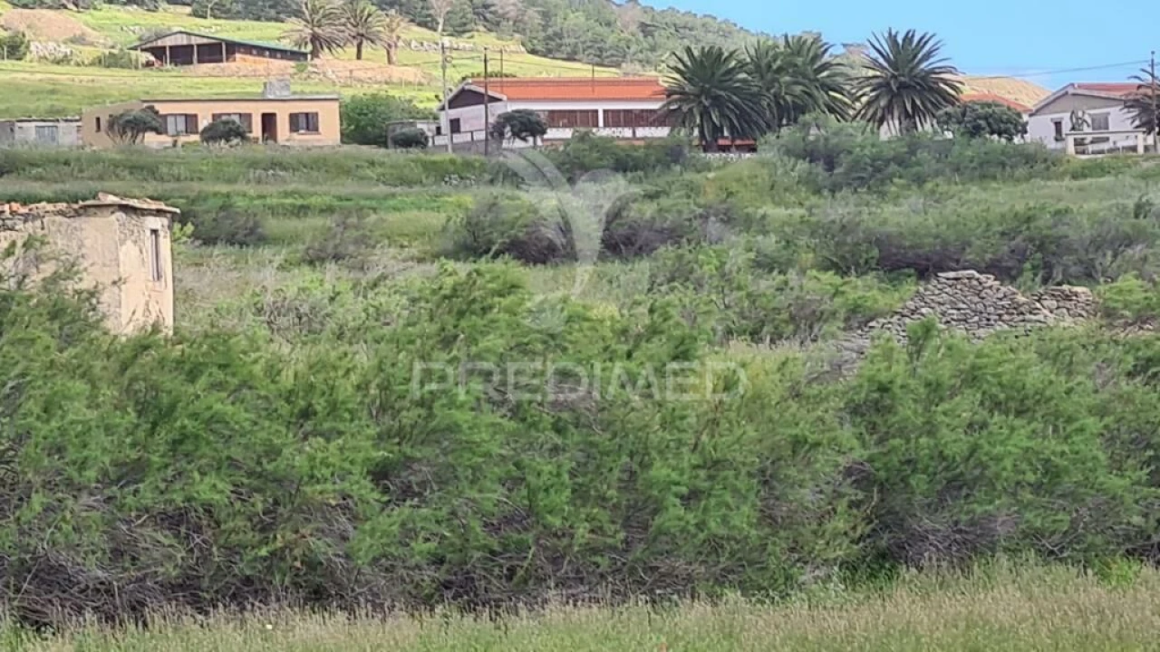 Terreno para Venda em Porto Santo Foto 10