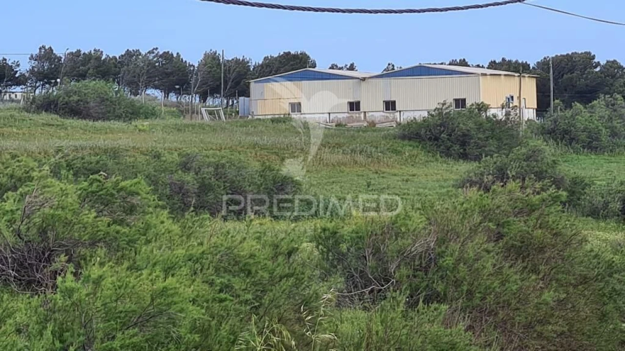 Terreno para Venda em Porto Santo Foto 9