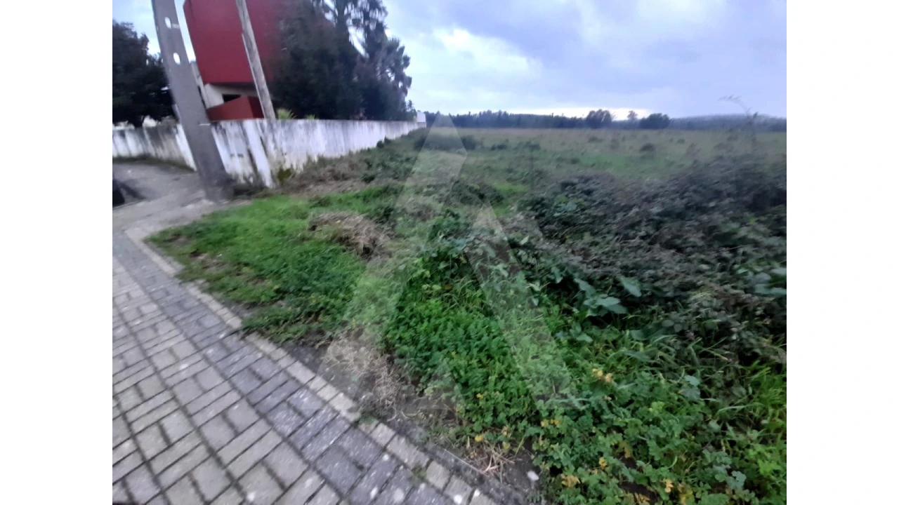 Terreno para Venda em Mealhada, Ventosa do Bairro e Antes Foto 9