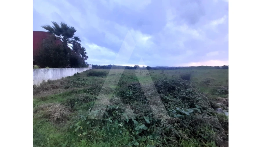 Terreno para Venda em Mealhada, Ventosa do Bairro e Antes Foto 2