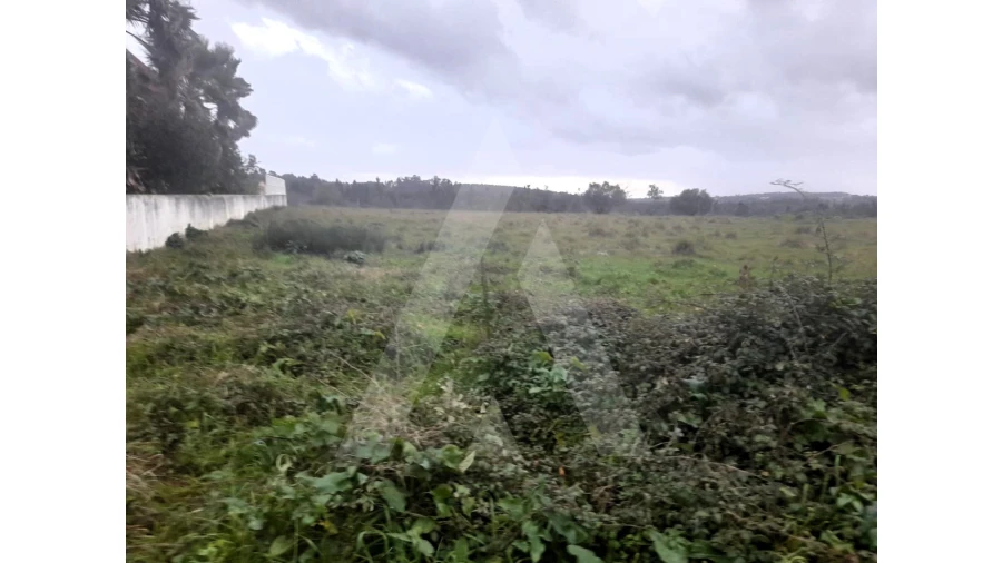 Terreno para Venda em Mealhada, Ventosa do Bairro e Antes Foto 3